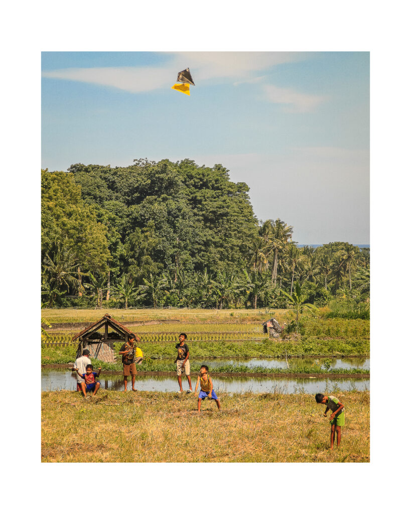 Mickaël Ablin - Expo Activités Humaines - Bali, Indonésie